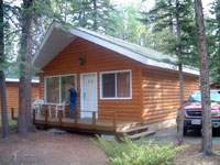 Pines cabin