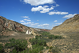 Cottonwood Canyon