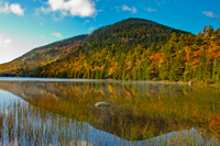 Bubble Pond