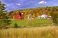 Vermont Farm