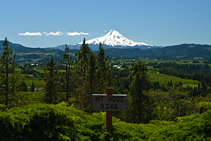 Mt. Hood from Panorama Point