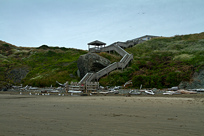 Steps to the cliff top