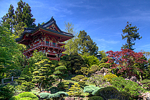Japanse Tea Garden