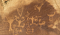 Cottonwood Tree Petroglyphs