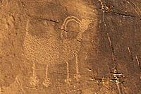 Cub Creek Petroglyph